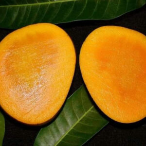হিমসাগর আম