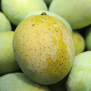ল্যাংড়া আম